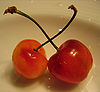 Cherries-1.jpg