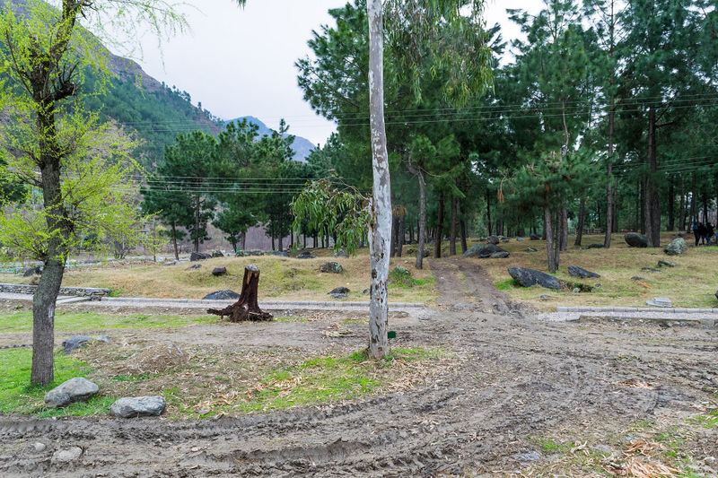 चित्र:Kullu-3.jpg