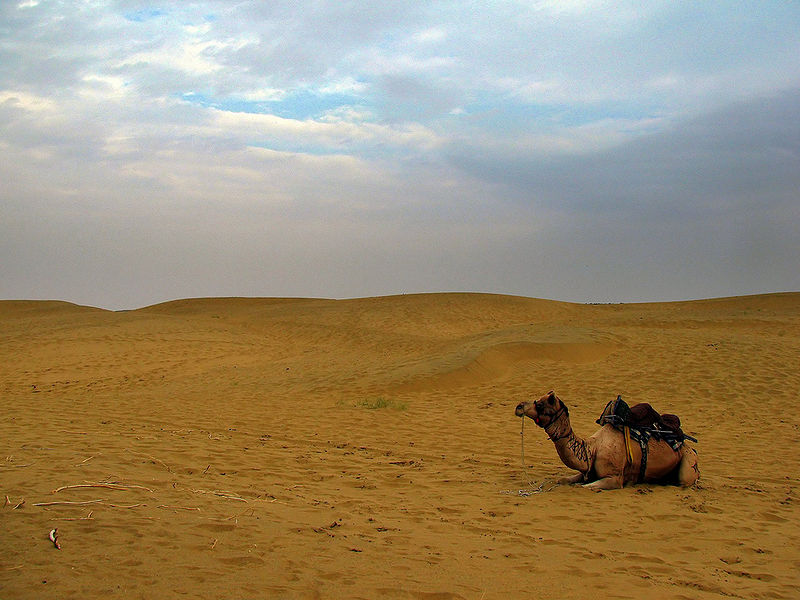 चित्र:Sam-Sand-Dunes-Jaisalmer.jpg