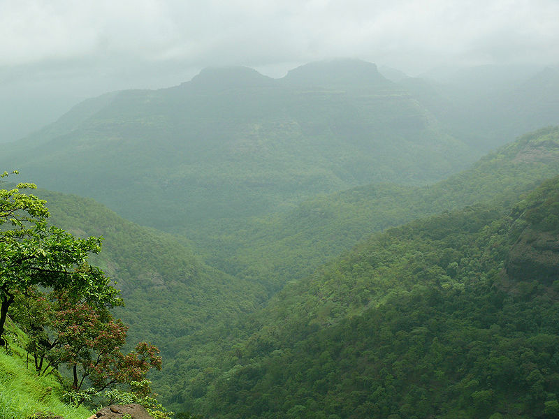 चित्र:Tiger-Valley-Khandala.jpg