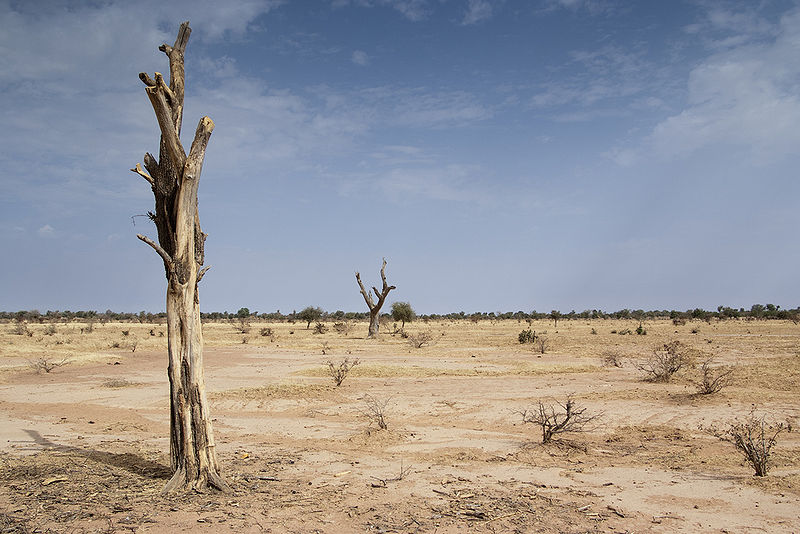 चित्र:Sahara-Desert-3.jpg
