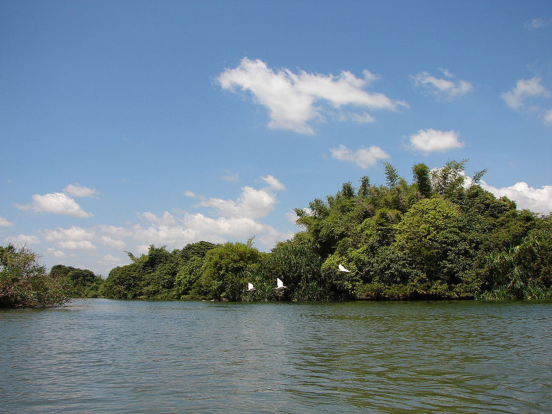 चित्र:Ranganathittu-Bird-Sanctuary.jpg