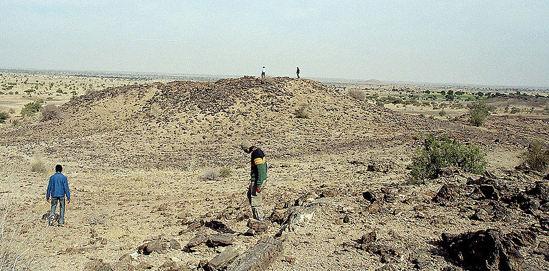 चित्र:Wood-Fossil-Park-Jaisalmer.jpg