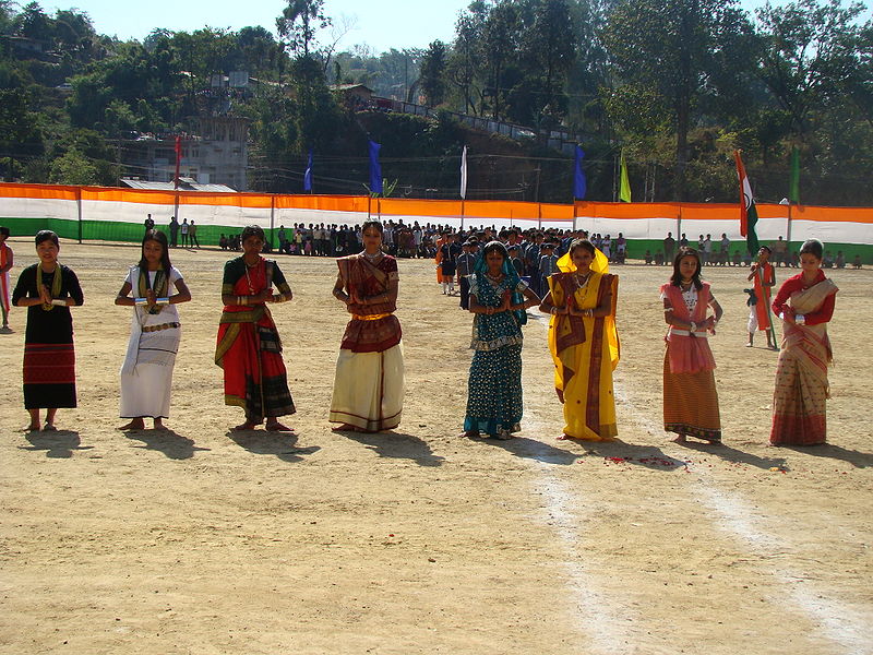 चित्र:Celebration-Of-Republic-Day.jpg