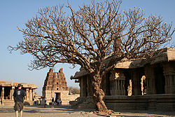 विजय विट्ठल मन्दिर, कर्नाटक