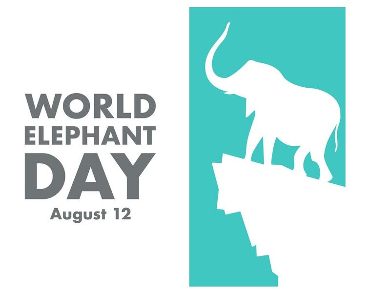 चित्र:World-Elephant-Day.jpg