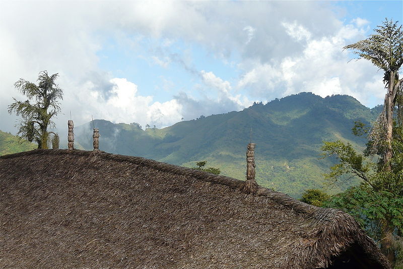 चित्र:Longwa-Nagaland.jpg