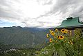 05:13, 5 जून 2012 के संस्करण का थंबनेल संस्करण