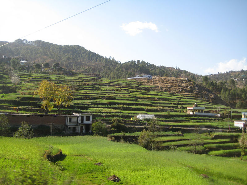 चित्र:Kausani-5.jpg