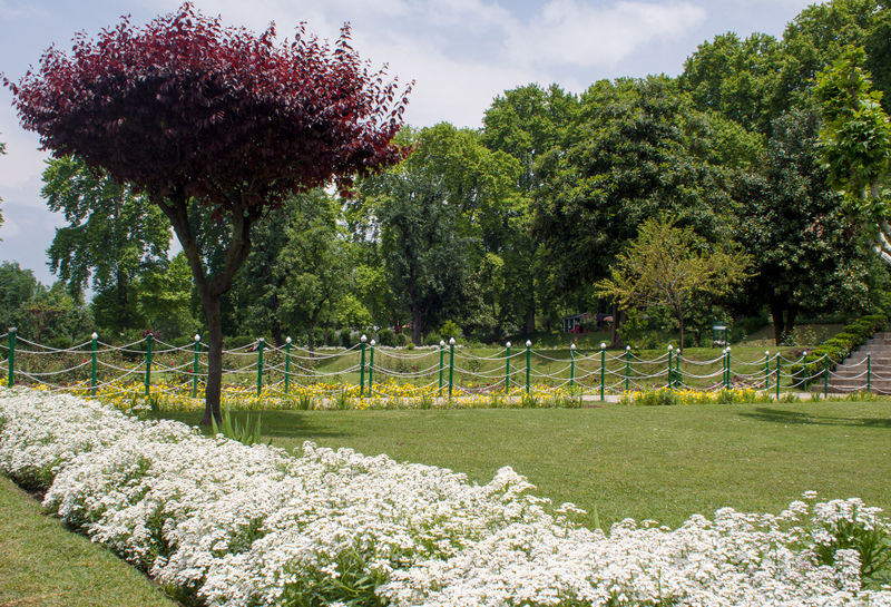 चित्र:Nishat-Bagh-5.jpg