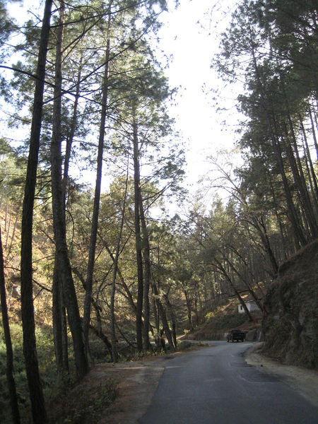चित्र:Kausani-6.jpg