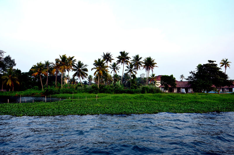 चित्र:Vembanad-Lake-3.jpg