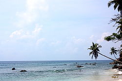 andaman and nicobar tourism in hindi