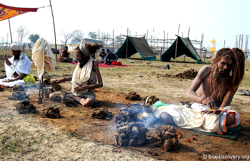 चित्र:Kumbh-Vrindavan-Mathura-3.jpg