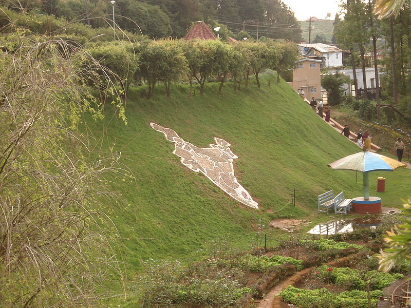 चित्र:Rose-Garden-Ooty-2.jpg