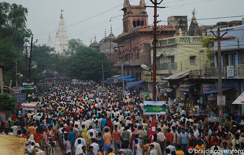 चित्र:Guru-Purnima-Govardhan-Mathura-1.jpg