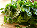 Mint-Leaves-1.jpg