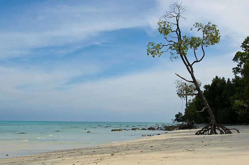 चित्र:Havelock-Island.jpg