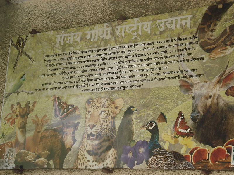 चित्र:Sanjay-Gandhi-National-Park.jpg