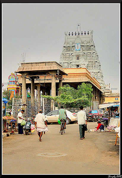 चित्र:Parthasarathy-Temple-Chennai-1.jpg