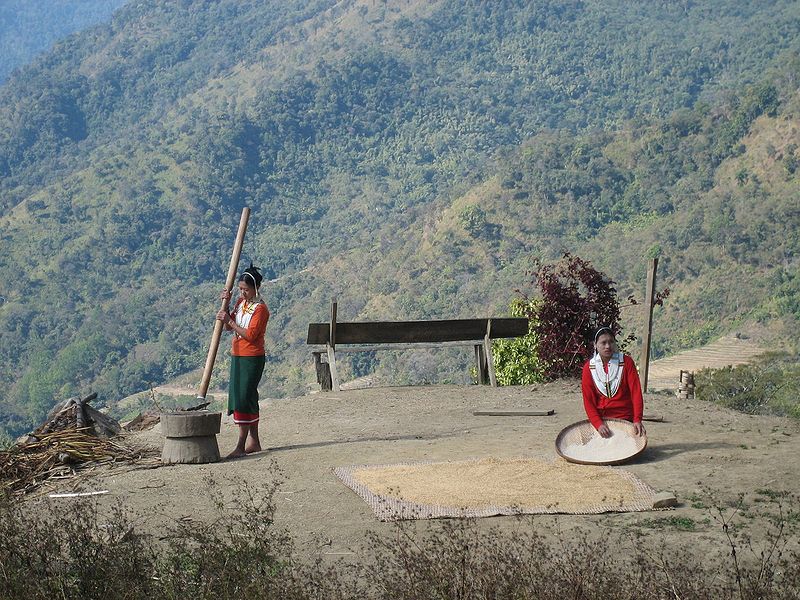 चित्र:Life-In-Nagaland.jpg