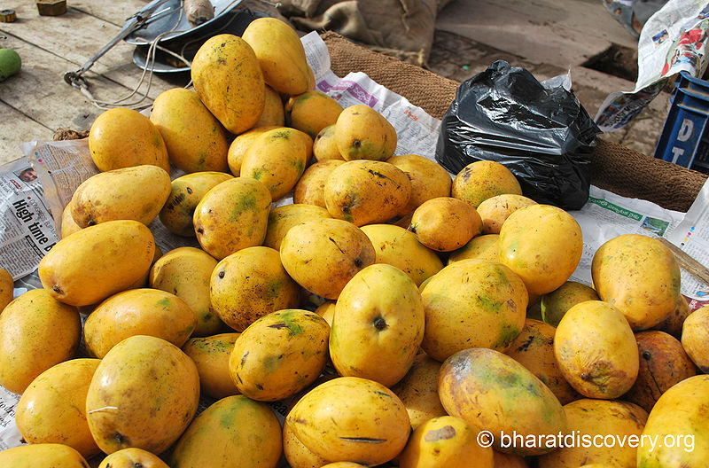 चित्र:Mango-5.jpg