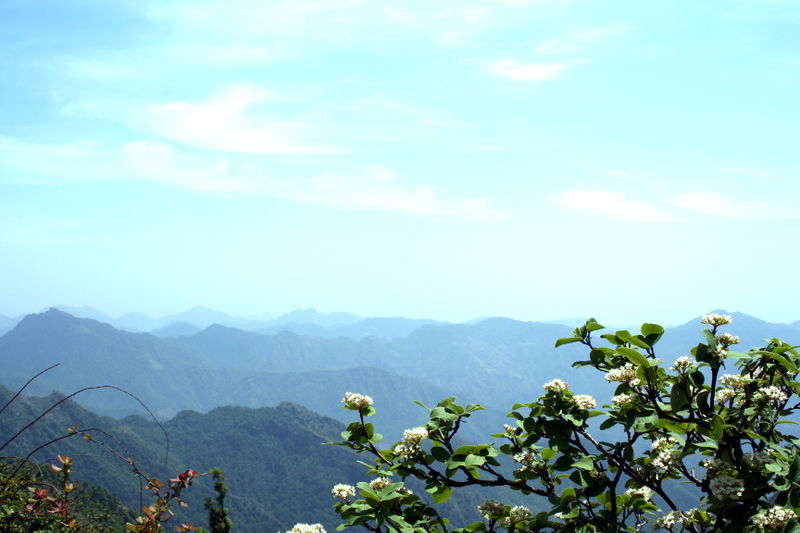 चित्र:Dhanaulti-11.jpg