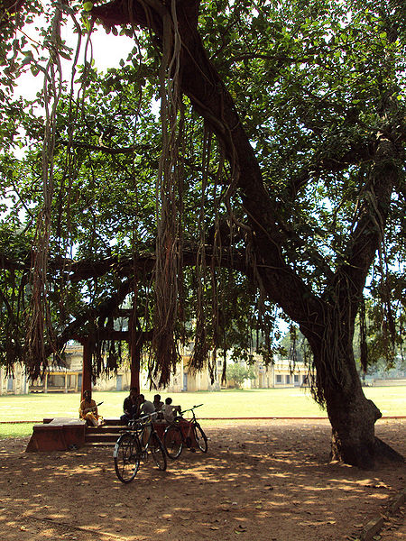 चित्र:Shantiniketan-2.jpg