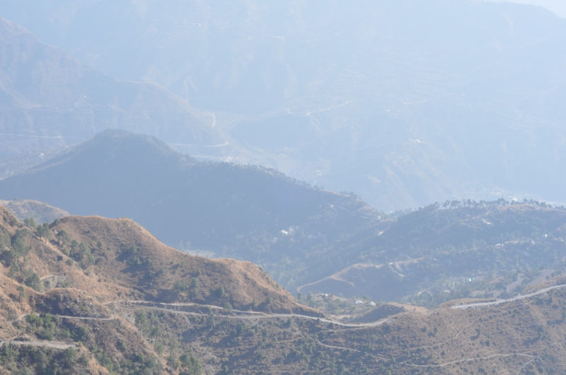 चित्र:Chail-6.jpg