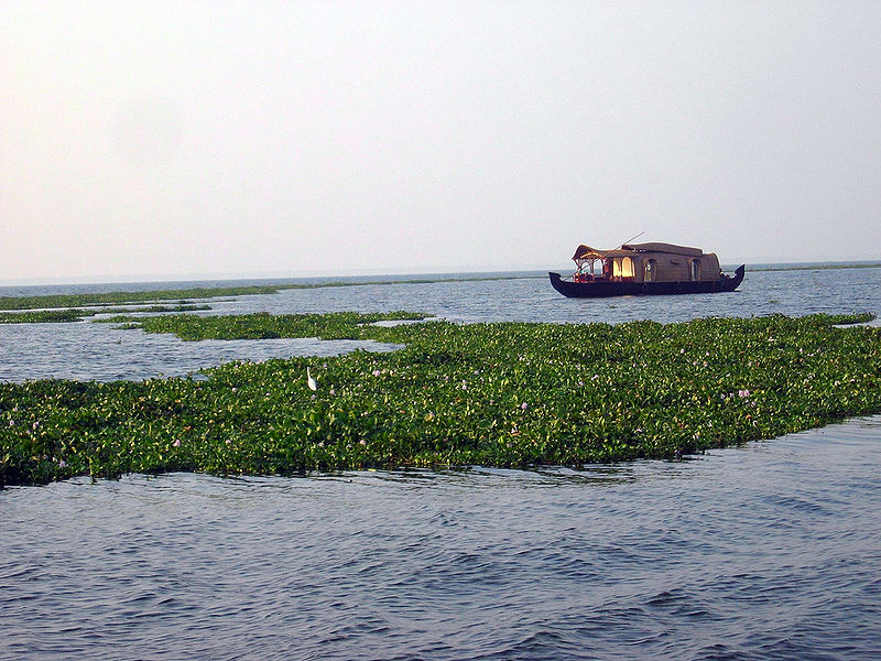 चित्र:Vembanad-Lake-2.jpg
