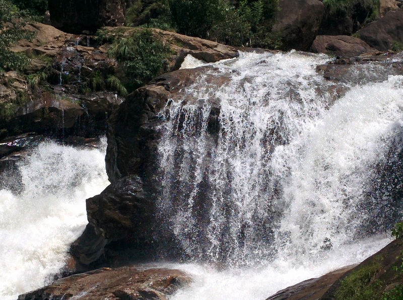 चित्र:Munnar-3.jpg
