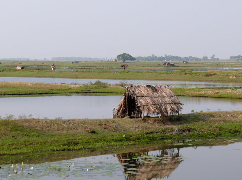 चित्र:Chilika-Lake-7.jpg