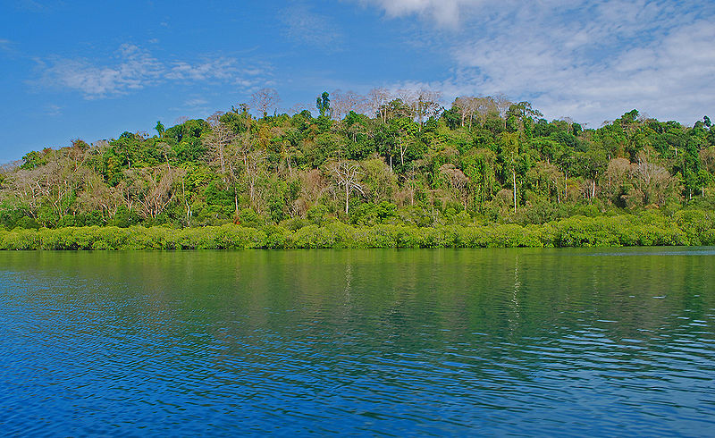 चित्र:Havelock-Island-3.jpg