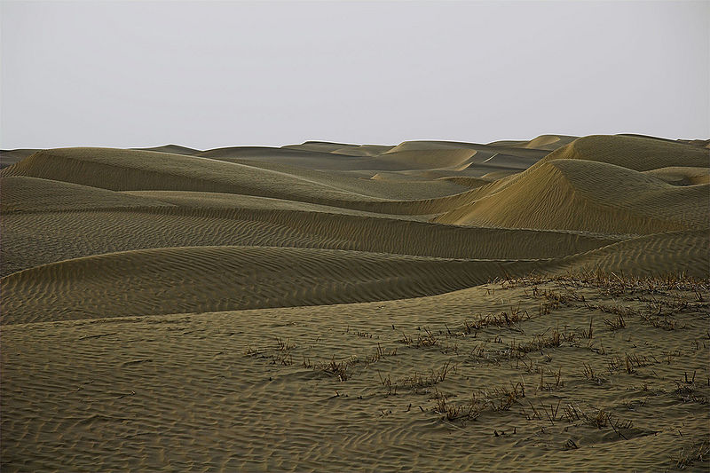 चित्र:Taklamakan-Desert-1.jpg