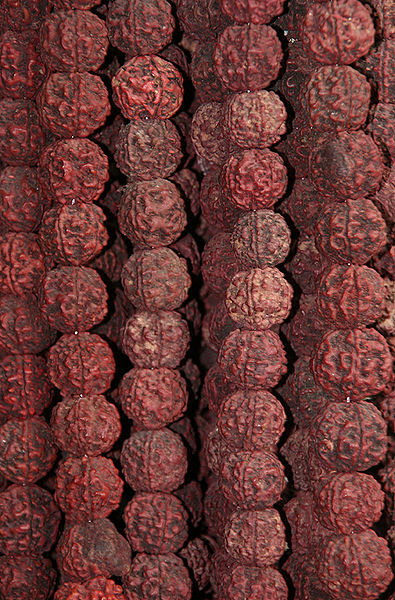 चित्र:Rudraksha-Mala.jpg